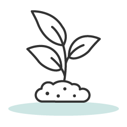 Cultivado organicamente