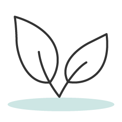 Ecológico